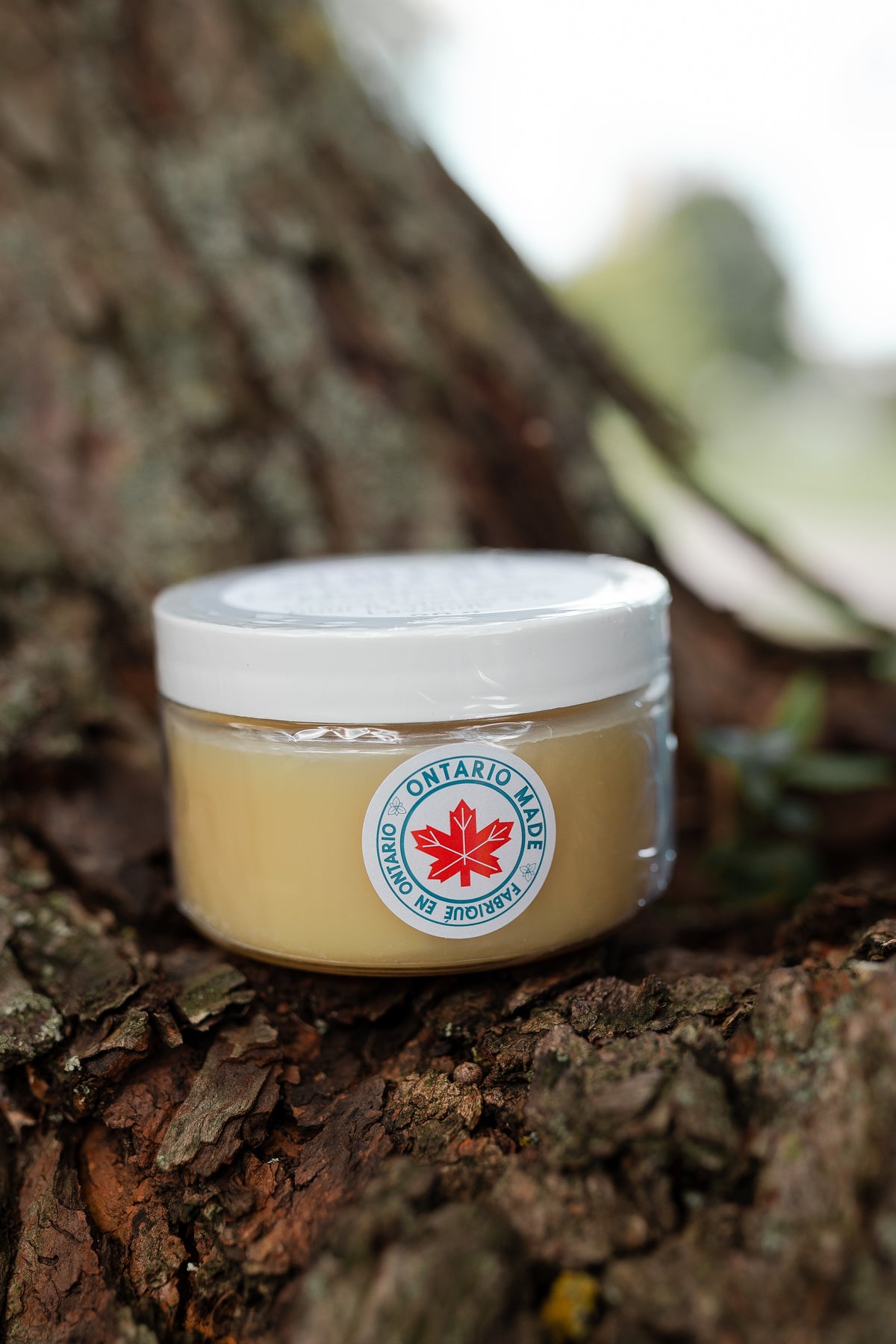 Lavender Facial Moisturizer