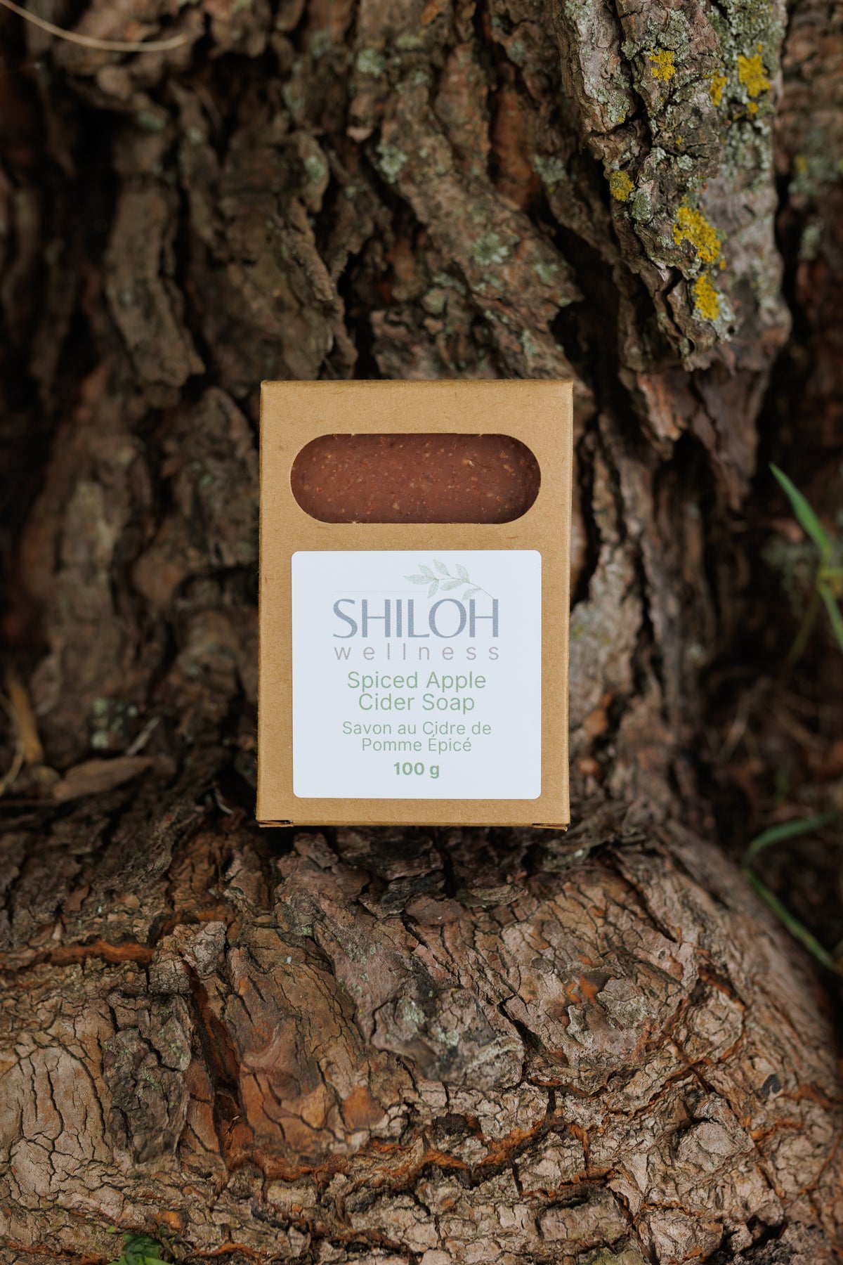 Spiced Apple Cider Soap