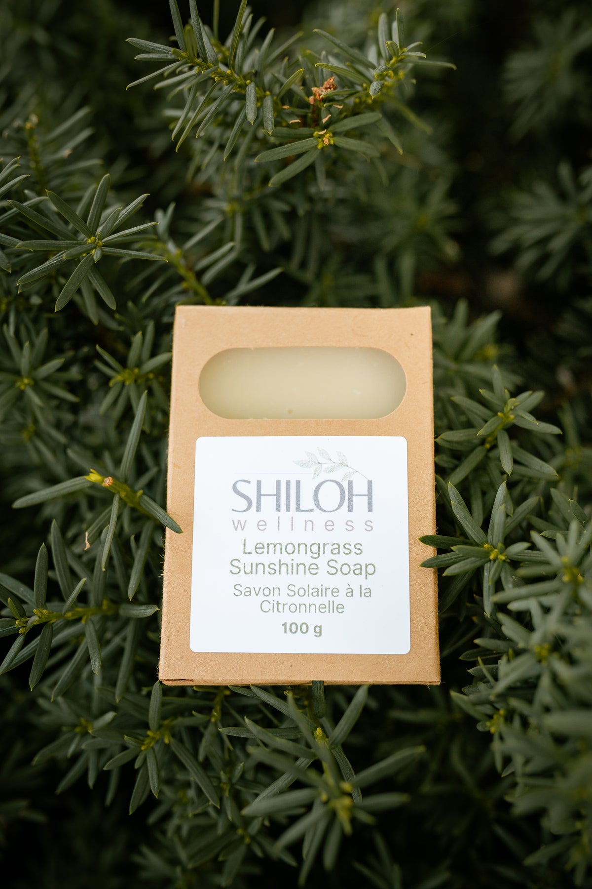 Lemongrass Sunshine Soap