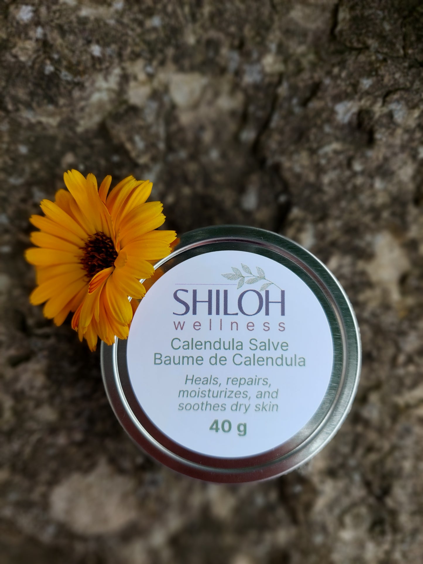 Calendula Salve