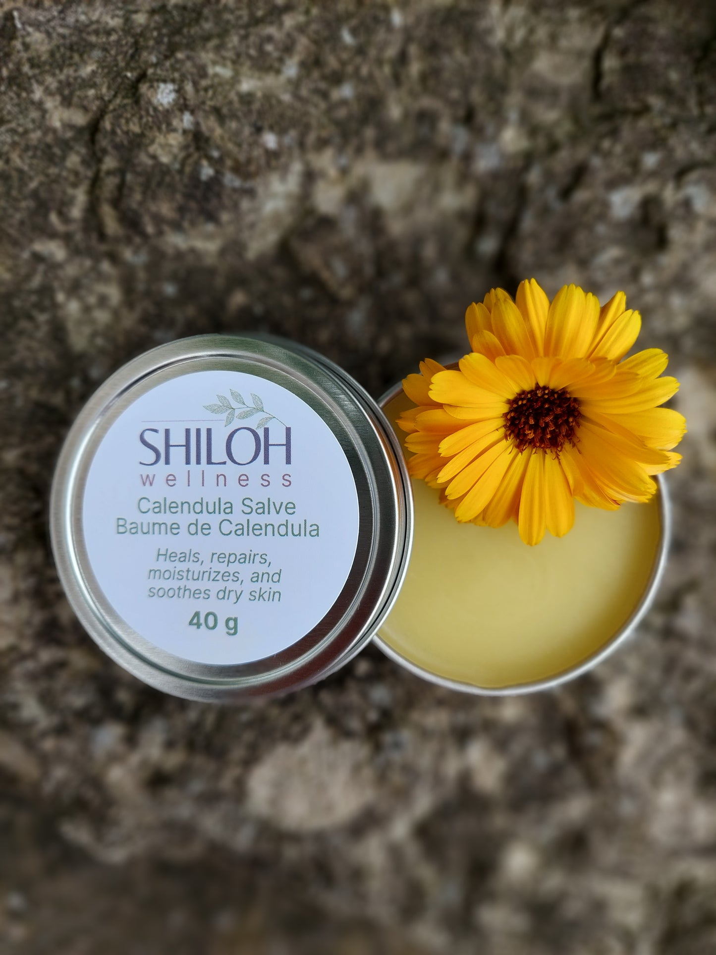 Calendula Salve