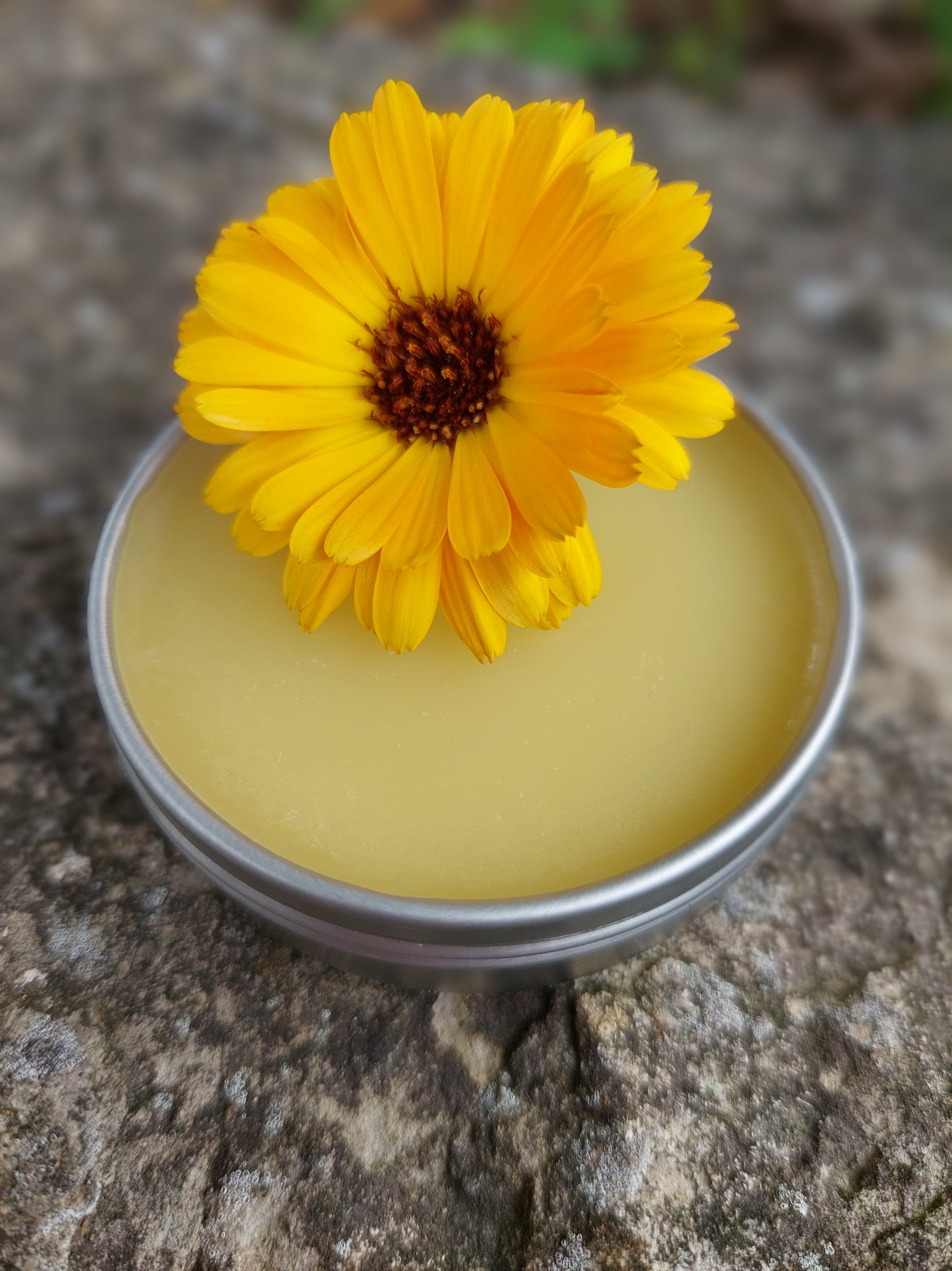 Calendula Salve