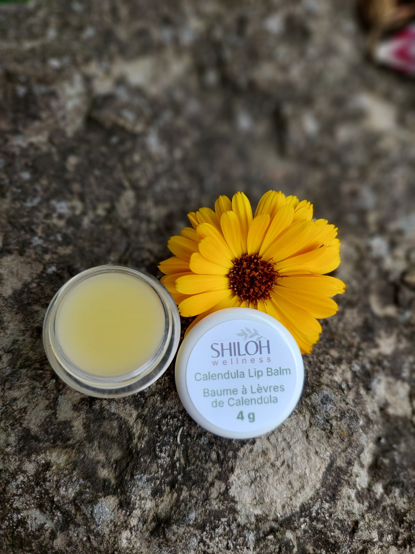 Calendula Lip Balm