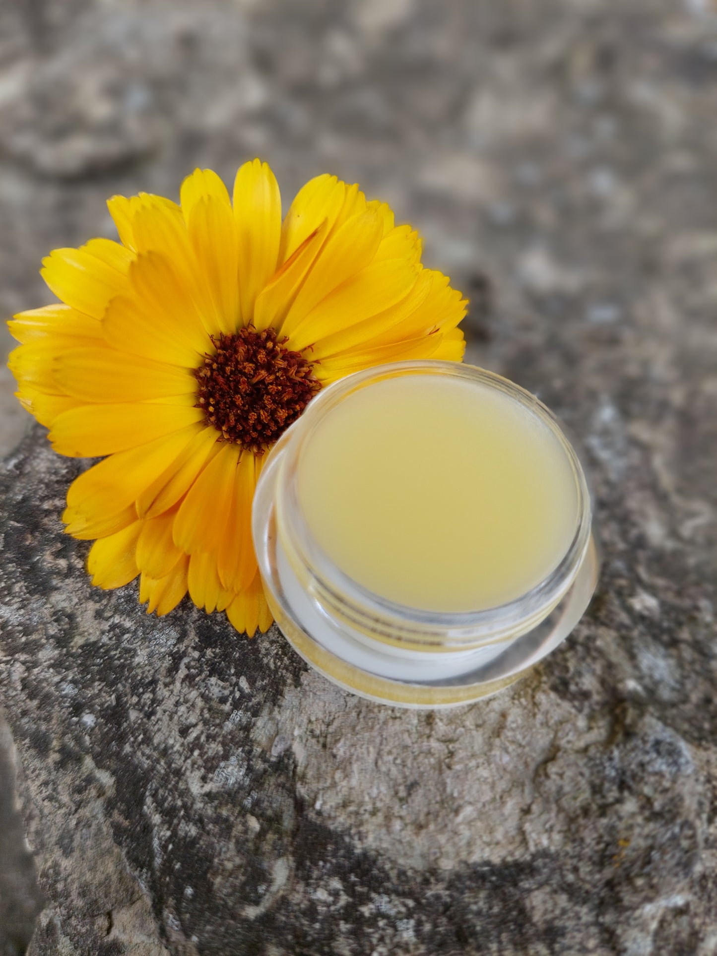 Calendula Lip Balm