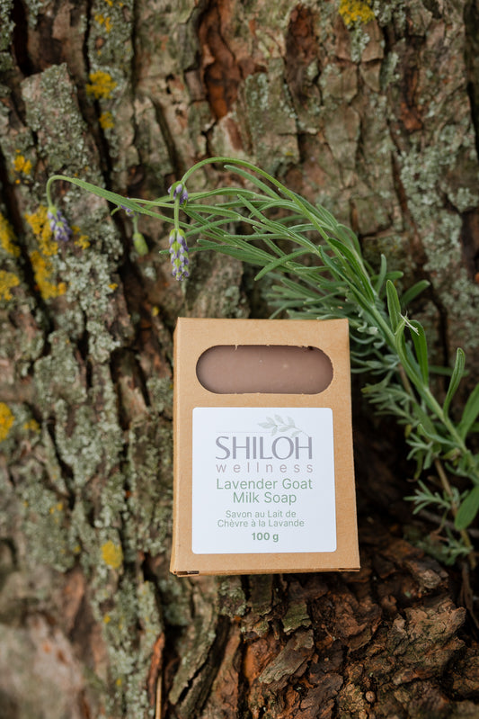 Lavender Goat Milk Soap