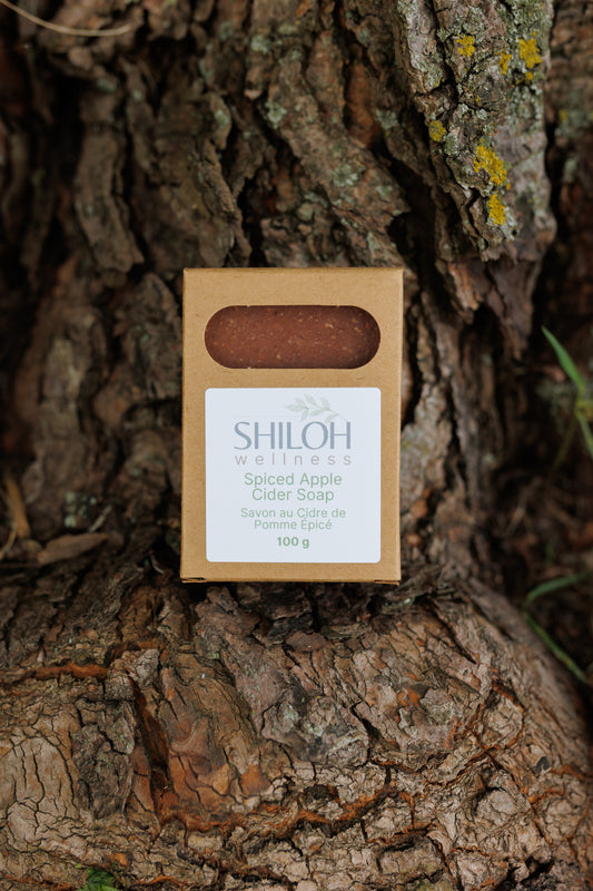 Spiced Apple Cider Soap