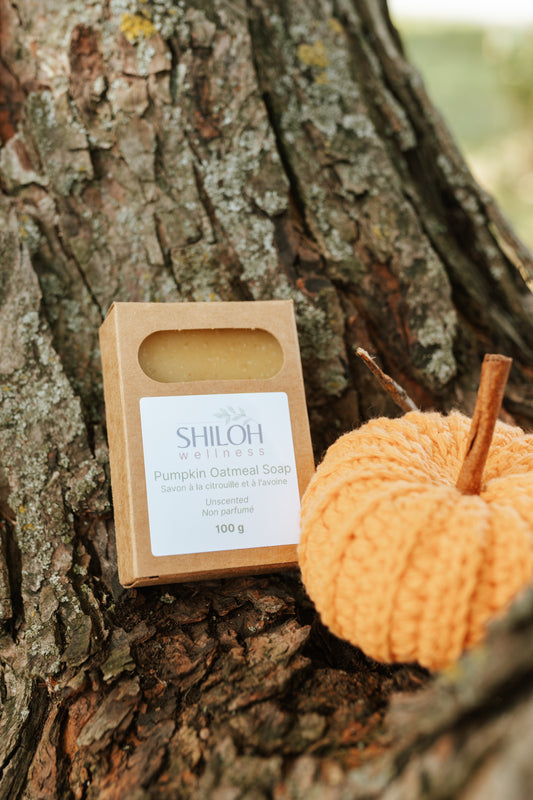 Pumpkin Oatmeal Soap